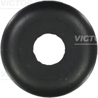 Seal Ring, valve stem